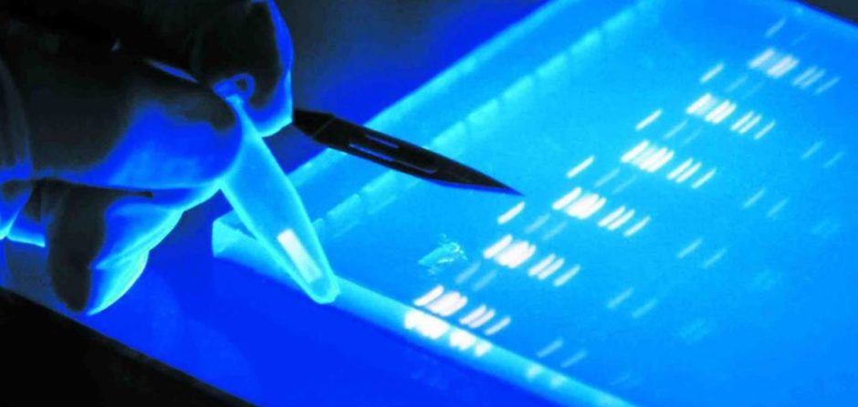 2. Fv-Hsp72 for Myocardial Infarction